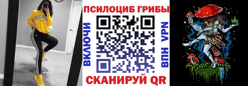 Галлюциногенные грибы Magic Shrooms mega ТОР Алагир купить